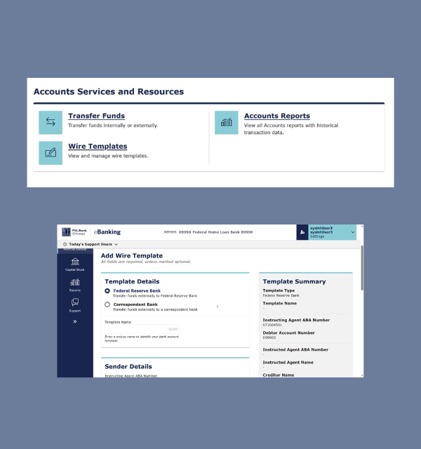 eBanking wires system screens