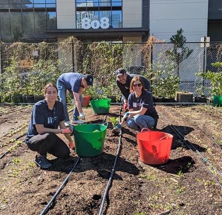 Employees Volunteering