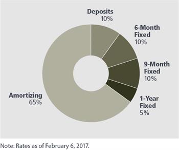 ConsumerExecSummaryQ12017